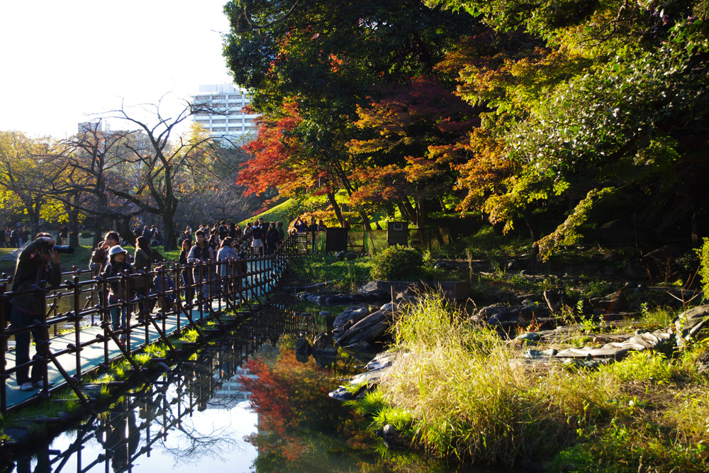 tokyo dating spots